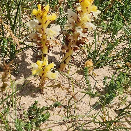 T2 Avec Loggia Vue Apartment