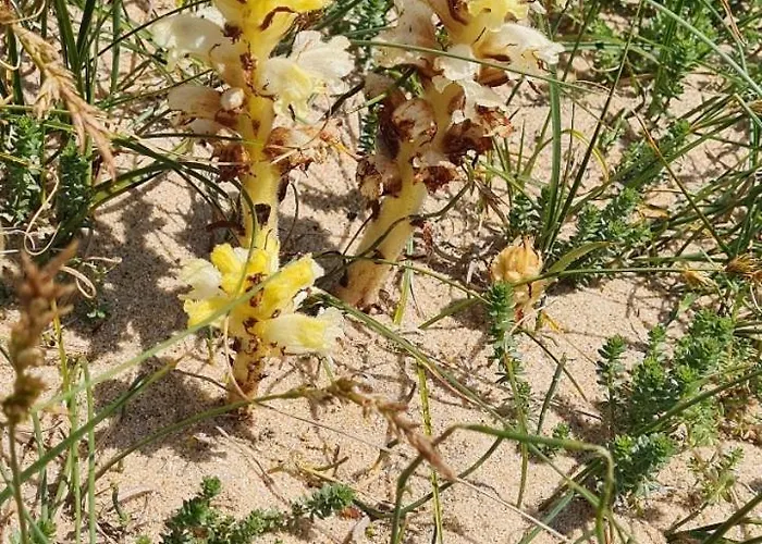 T2 Avec Loggia Vue Appartement
